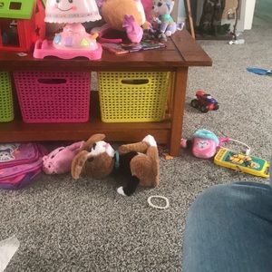 Meet your Posher, Robert